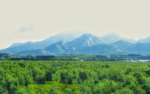 “山东邂逅美”摄影大赛｜美丽乡村：玉皇山后村夏日美景