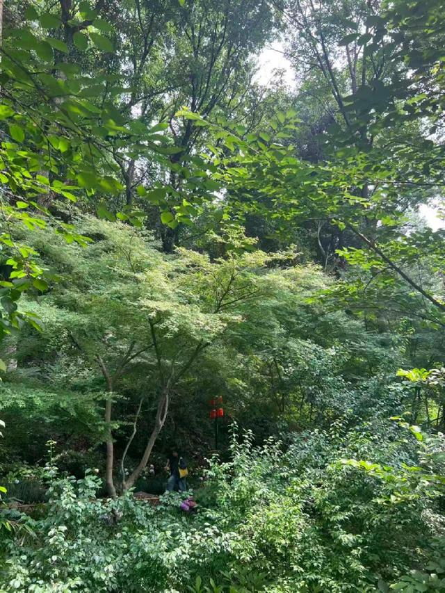 灵隐寺免票，是城市最好的投资
