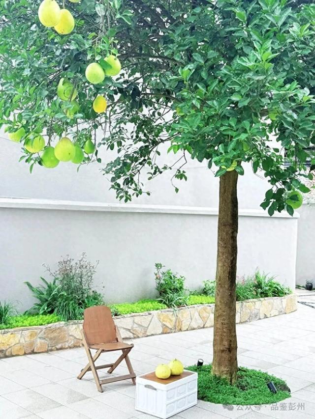 彭州这家窝窝小院,让我把手机内存都拍满了!