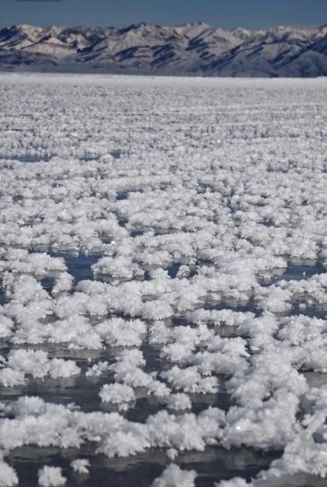 新疆赛里木湖限定版“冰花”开了，网友称像“海底星空”，景区工作人员：每年湖面结冰都有