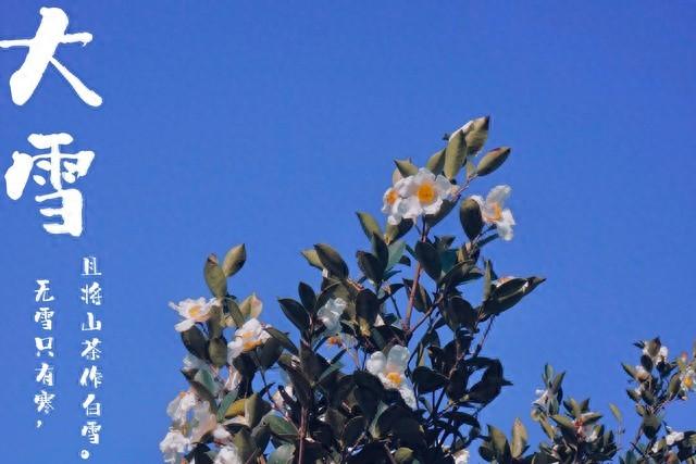 今日大雪是“忌日”？记住“1不穿、2不动	、3不洗、4要喝	”！