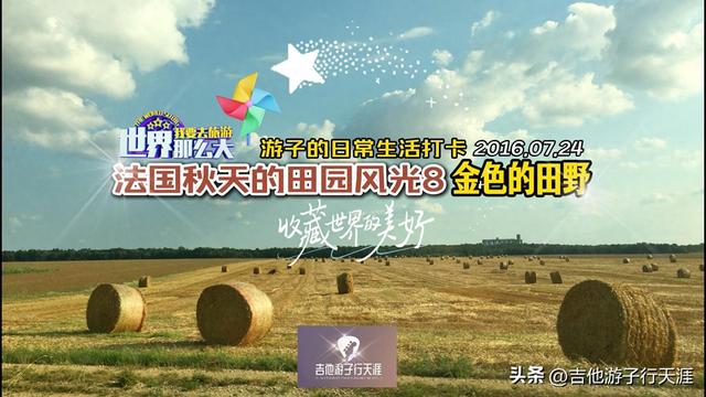 游子的Vlog：法国秋天的田园风光8- 秋收后的金色田野