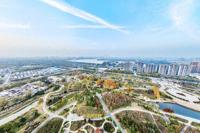 凤凰苑植物园：五彩林木绘就初冬美景