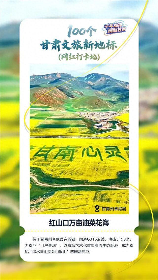 【文旅新地标】红山口万亩油菜花海丨甘南高原金色花田