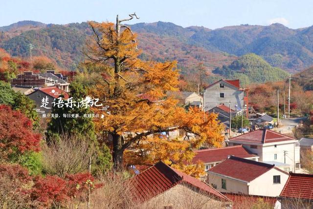 浙江宁波的深山古村，既是世外桃源又是赏秋胜地，像打翻的调色盘
