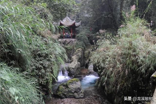 四川穆坪地区潮湿阴冷的环境，使得戴维身体受到很大影响