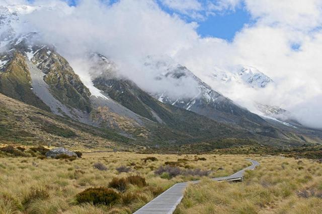 老了以后，一个人怎么办？答案来了