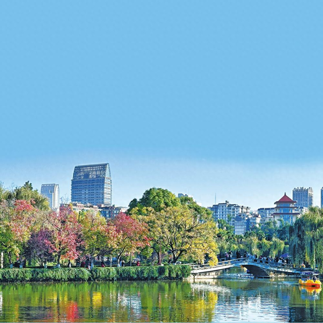 在春城感受初冬的浪漫