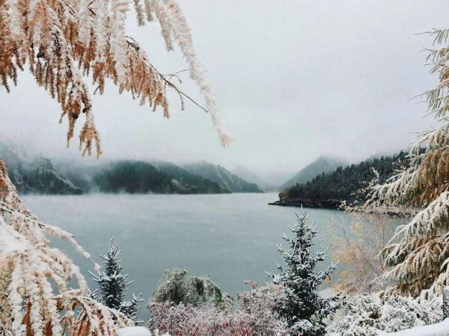 天山柔雪落，静听一池秋