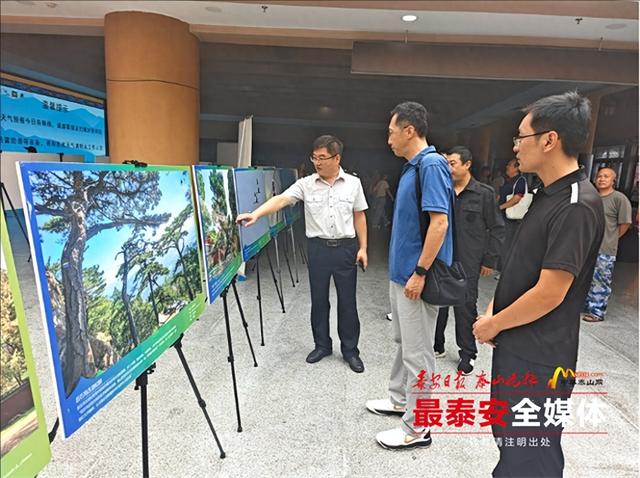 泰山景区开展“全国生态日”宣传活动 科普+放飞+雨季造林 以行动书写生态发展“奋进曲”