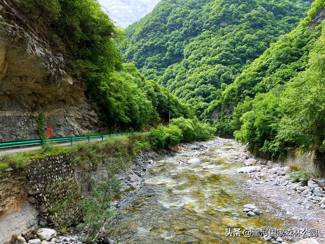 西安山美水美的清凉秘境！夏天来黑河避暑旅游太爽了！