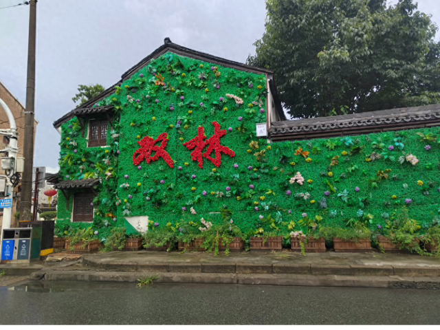 我的家乡：双林古镇记事