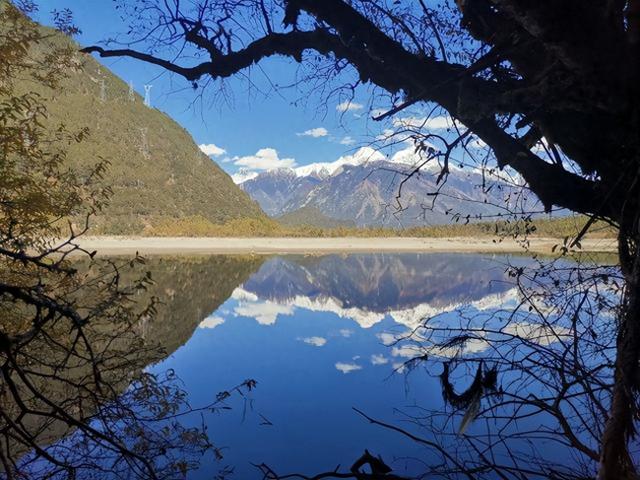 《荒野猎人》同款森林？波密杉林不输加拿大，为何国人很少知道！