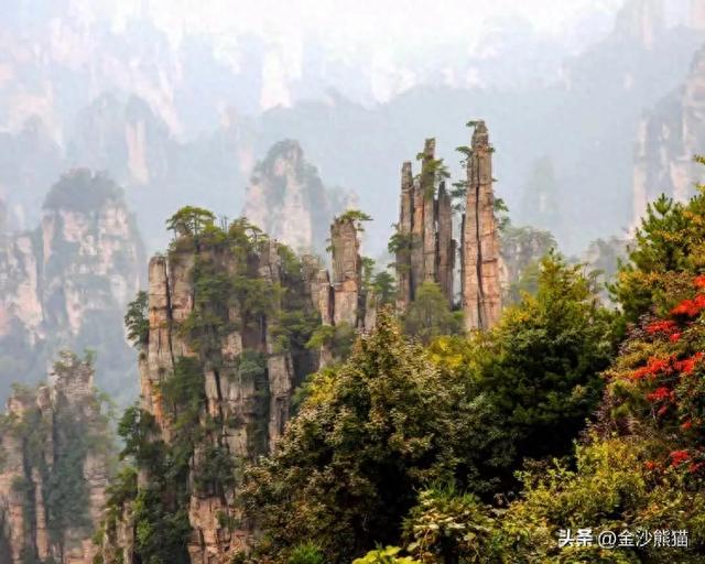 镜头中的山水：寻梦张家界 醉心山水间