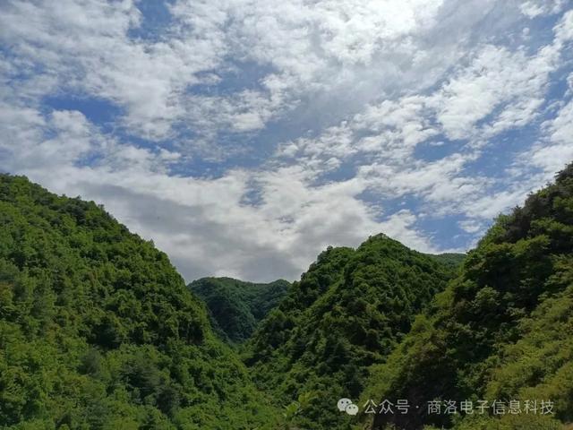 洛南山河可爱，王岭四岔除外