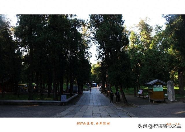 山东行游影记（226）—曲阜孔林（二）