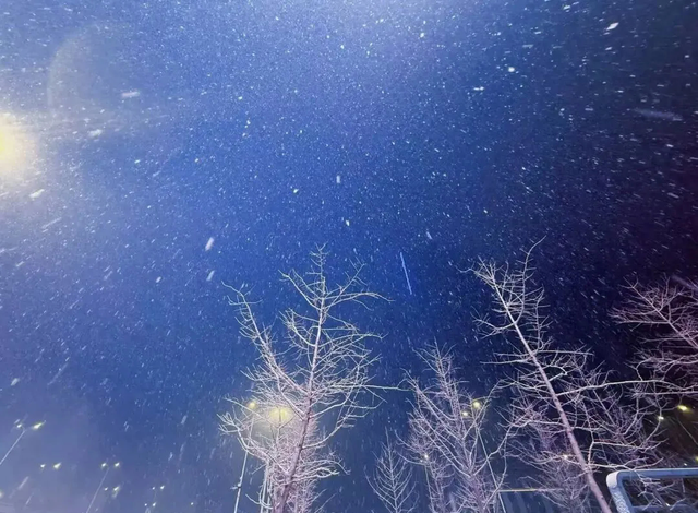 冰雪欢乐谷在新民盛大启幕！沈阳冬日打卡地上新