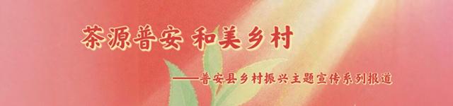山海同心共谋发展｜广东龙门助力  普安开启茶旅融合发展新篇章