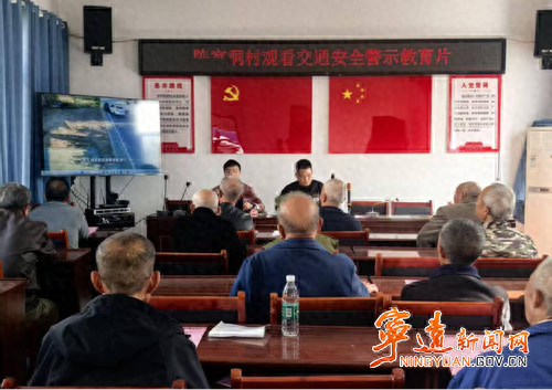 优化执勤方式（宁远中和镇以 三维模式 推进劝导工作见实效）