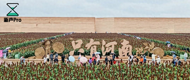 鬼屋、秀场、黄河文明，这里是「中国主题乐园第一县」｜本地娱乐