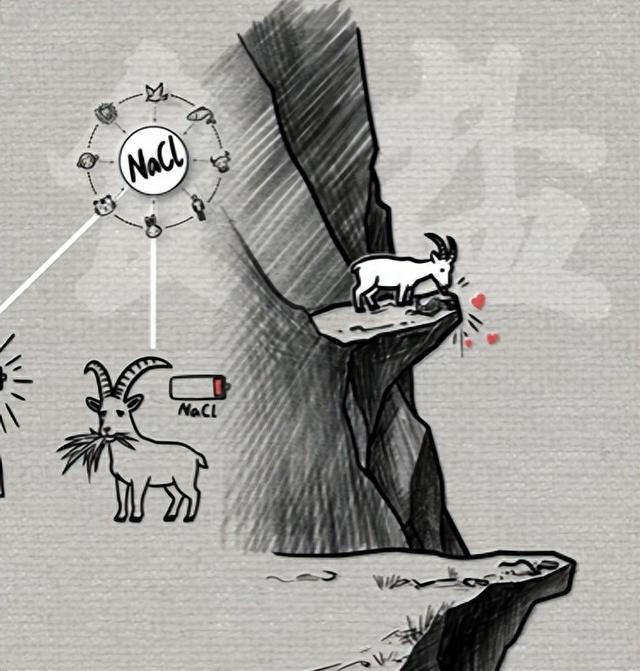 为 “白色黄金” 拼命？曾是古代 “硬通货”，王朝没它活不过3年！