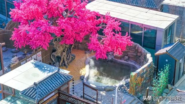 这个冬日,西宁又多了一处休闲打卡地