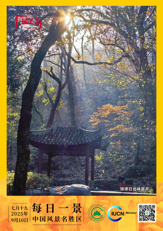 每日一景 | 琅琊日出林霏开