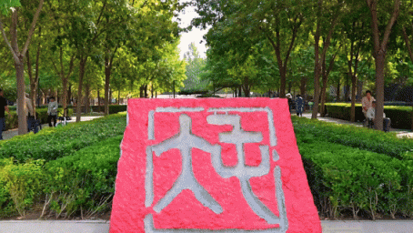 洛克王国绒毛狮子（大屯地标毛绒化）