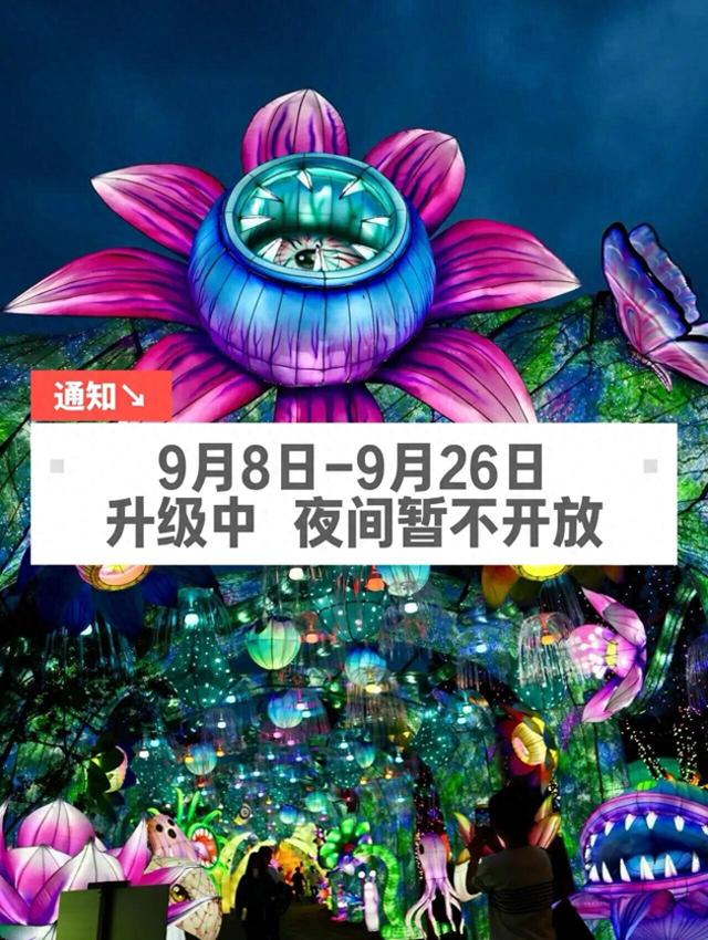 别跑空！昆明市城市园林策展体验中心“巨型蘑菇艺术展”夜间暂停营业