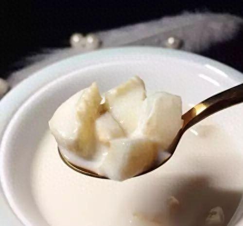 花胶燕窝冻的做法大全 花胶燕窝汤怎么吃