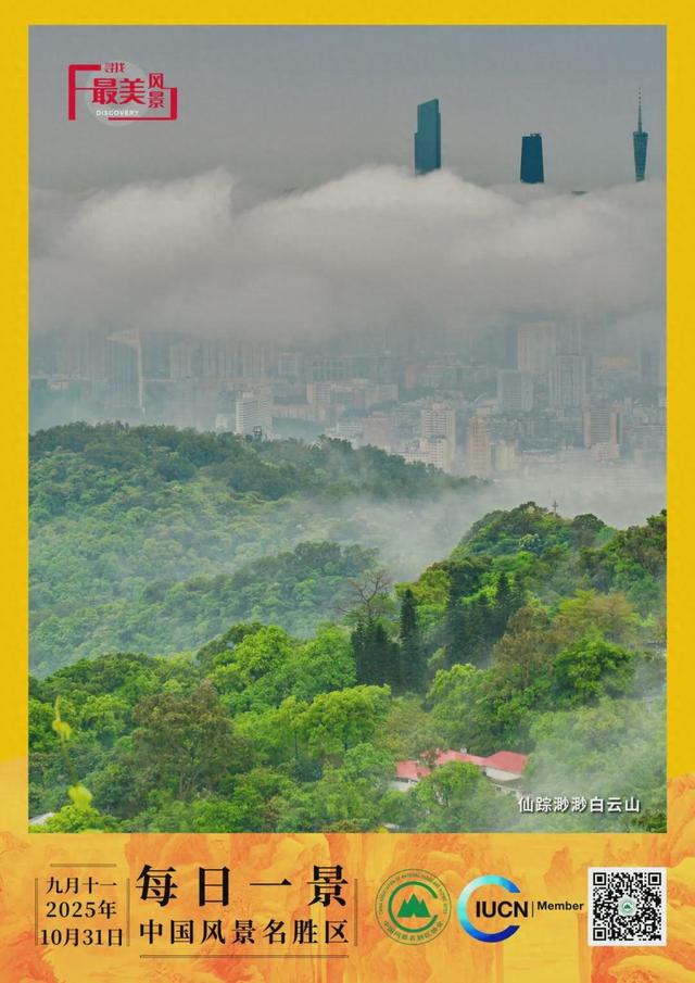 每日一景 | 仙踪渺渺白云山
