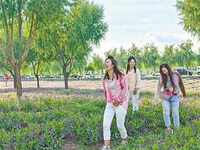 呼和浩特：花色倾城