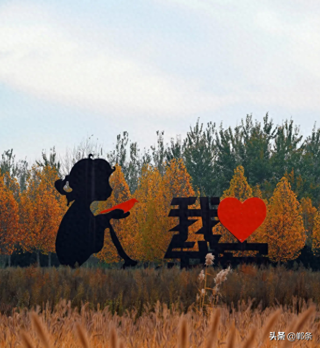 武安洺湖的初冬超治愈