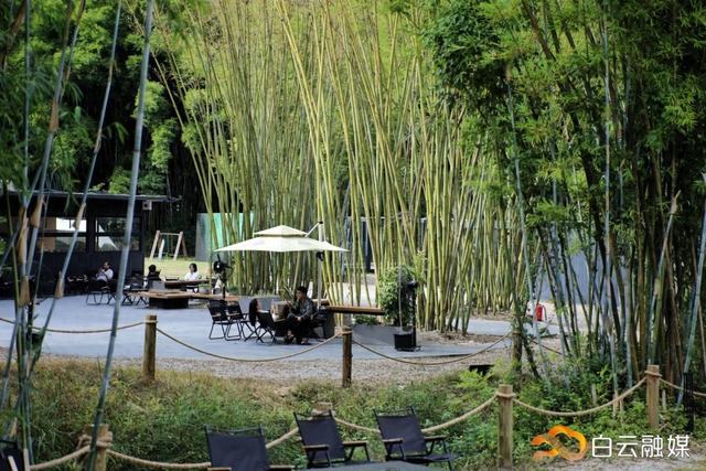 以“乡村+营地”激发近郊文旅活力！太和镇头陂村发展多元业态营地经济