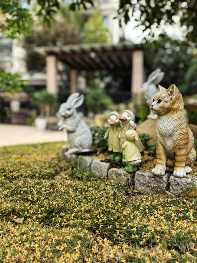 立冬桂晚，秋韵未阑