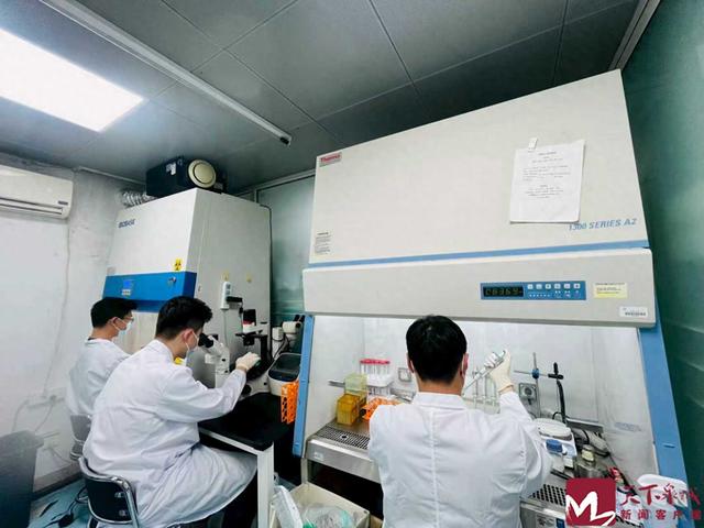 攻克“卡脖子”难题！山大团队联合齐鲁医院成功研制世界首款无线压电微纳贴片