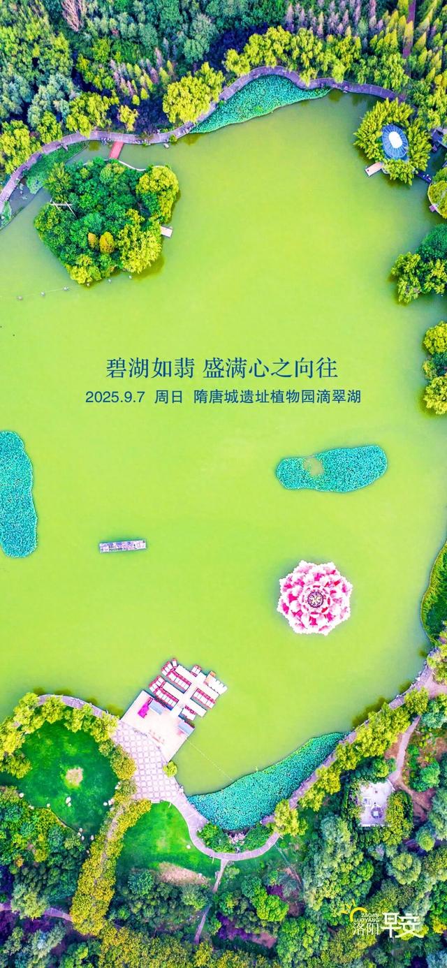 洛阳·早安|碧湖如翡 盛满心之向往