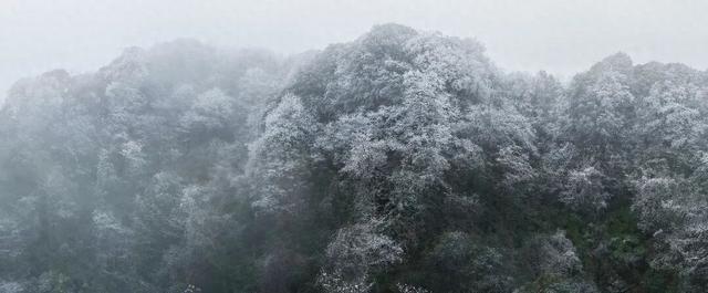 冬日限定！贵州的雾凇秘境藏不住了