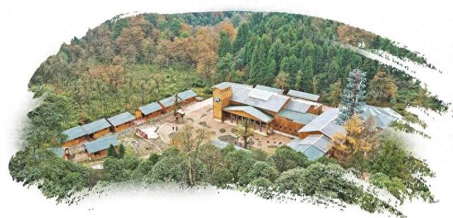 科技守护国宝：大熊猫科研保护进入智能时代