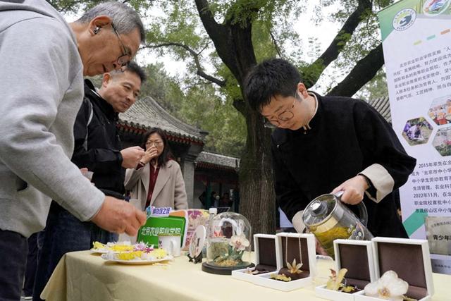 重阳赏菊正当时！颐和园组织多项科普活动