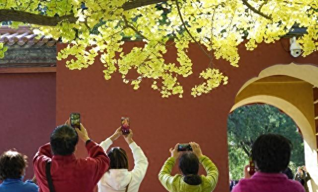 我是一个 50 后，不管还能活多久，我都准备这样活！