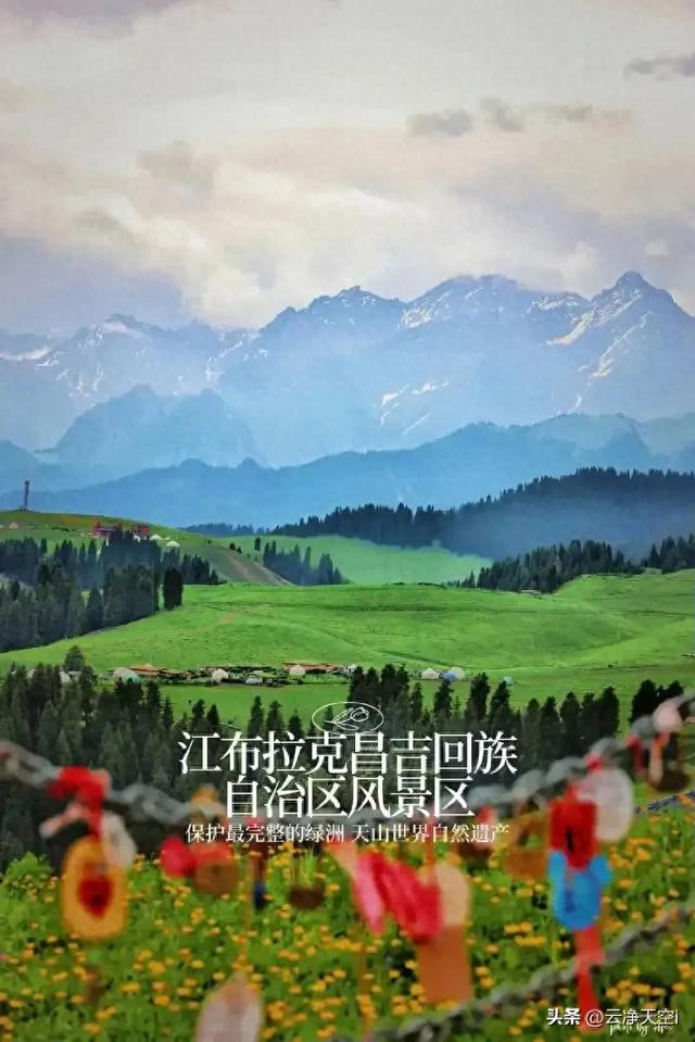 【老公的诗赏析之二百五十】