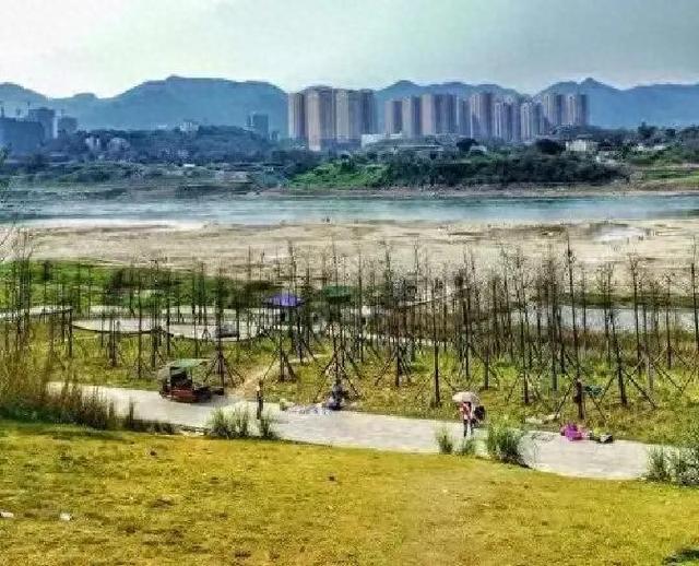 山东“黑马”孟州：洛阳没预料，焦作没料到，全国瞩目焦点！