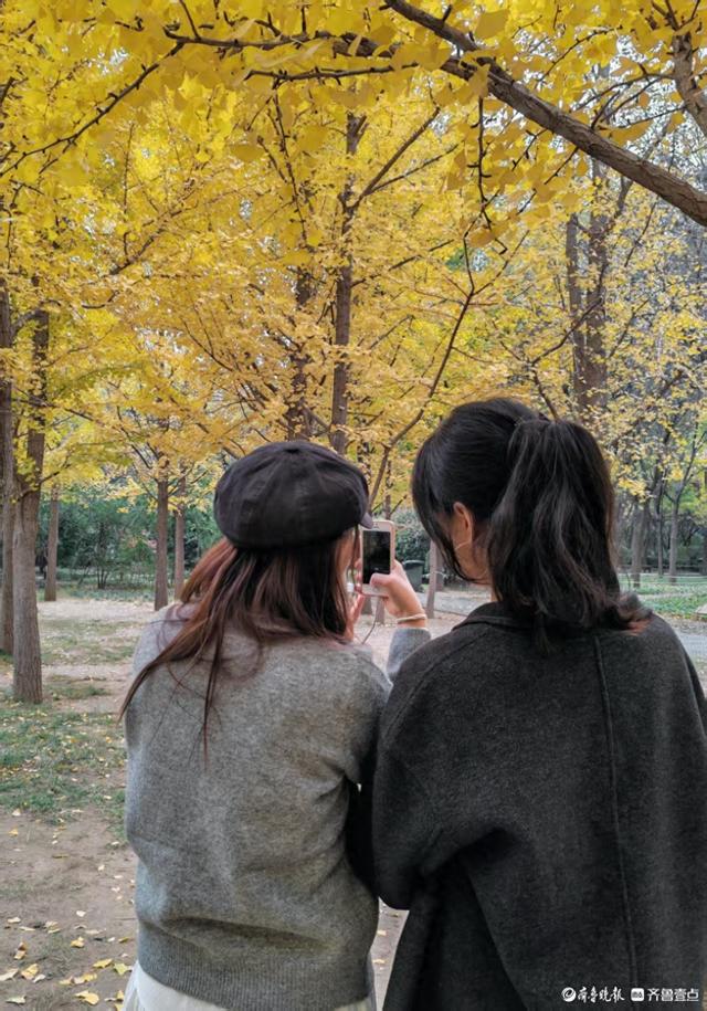 赏秋不用远足，济南森林公园诗意盎然