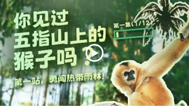 走进五指山，探秘“人与自然和谐共生”之道