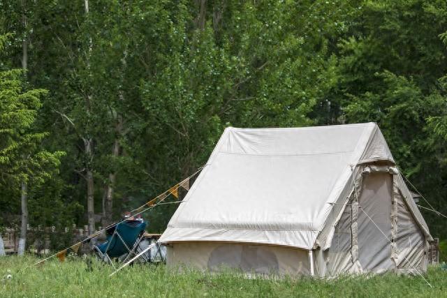 不去远方不花大钱，城市露营野餐走红，普通人放松新方式