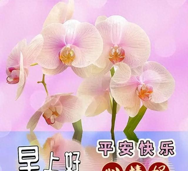 祝福事业成功的句子精选（12月17日早上好祝福语短句子）