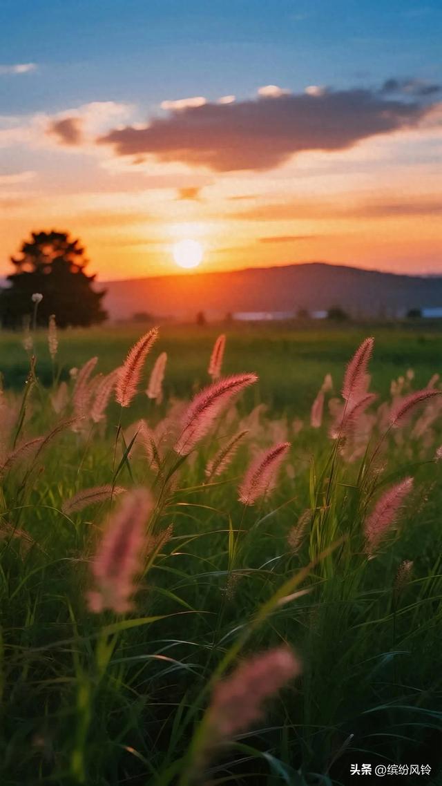 晨雾漫过青黛山，粉草摇碎第一缕晨光