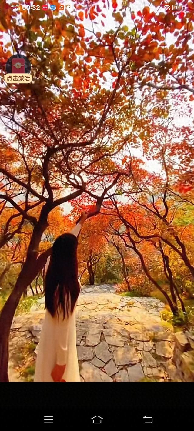 “青春逐秋，故宫梦启说走就走。”