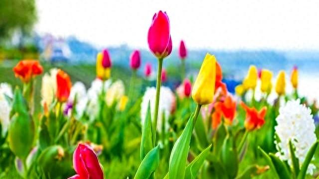 我用真心待你 但不执着于你 活在缘分中 而非关系里